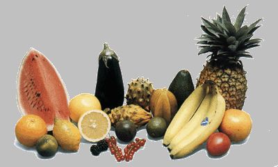 Fruit