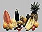 Fruit