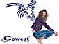 COWEST