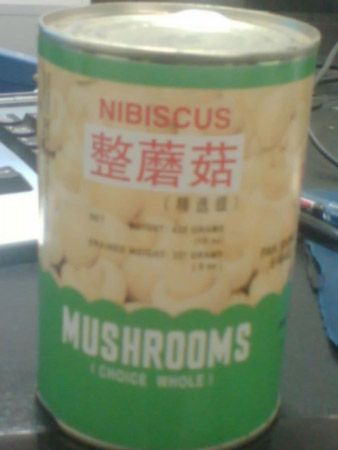 canned mushroom