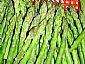 frozen asparagus