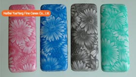 Covered Glasses Case