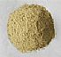 fishmeal
