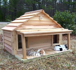 Wood Cat House