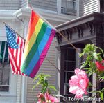 Rainbow Flags