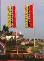 Auto Dealer Logo Flags