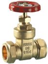 gate valve