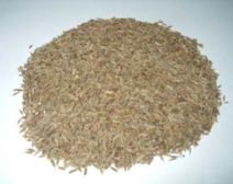 cumin