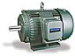 Y Series Three-Phase Induction Electric Motor 