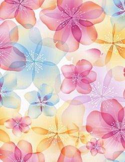 Heat Transfer Printing Fabric