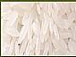 Thai Fragrant Rice