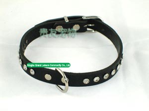 pet collar