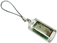 Solar flashing key buckle 