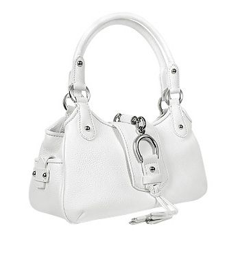 ladies handbag