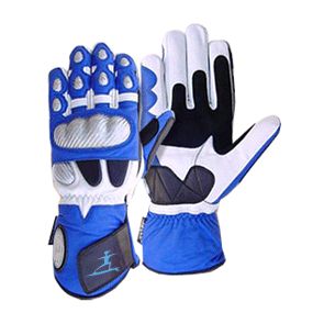 Motorbike Gloves