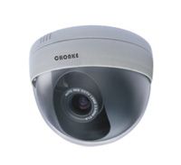 IP Dome Camera